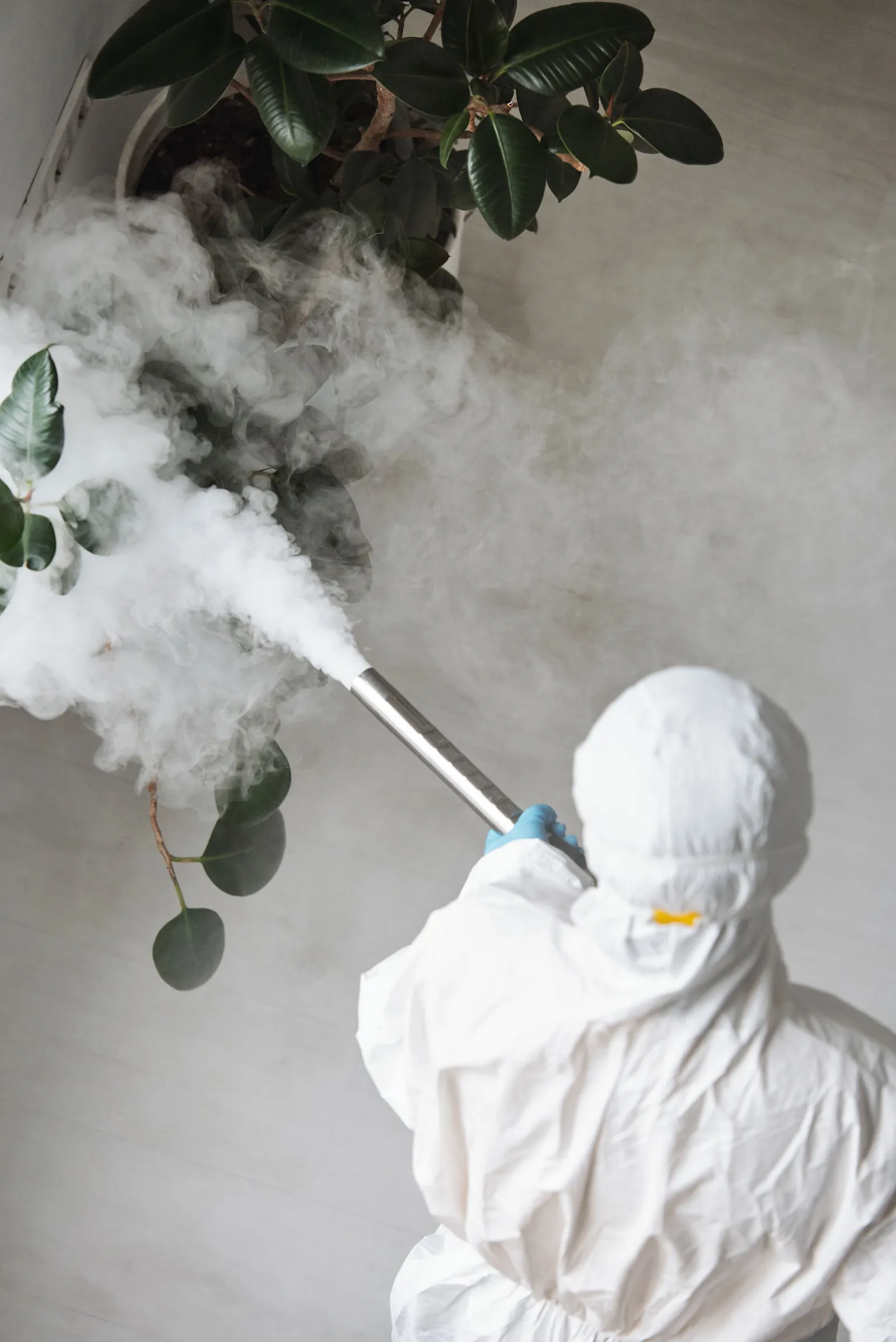 Pest control technician performing a fogging treatment